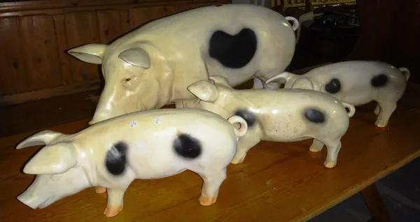 A group of four 20th century life size models of Gloucester Old Spot pigs.