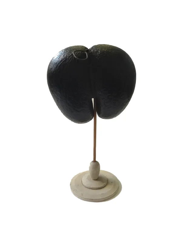 A Coco de mer (Lodoicea Maldivica) unpolished, set on a painted wood stand with an iron hook to the top (coco de mer 27cm high).