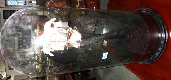 A 20th century naturalistic model of a person formed mainly from various insects, in a glass dome.