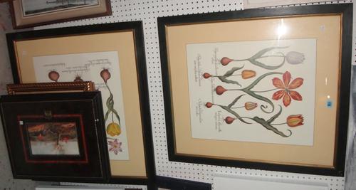 A group of assorted modern reproduction prints including equestrian, floral and botanical subjects and a signed print by Hugh Casson (11).