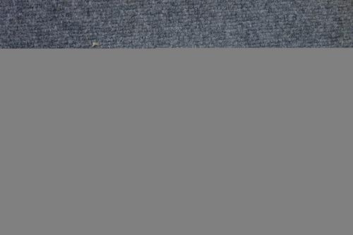 [BIBLE]  Testamenti Veteris Biblia Sacra, sive Libri Canoniei  . . .  engraved title, 3 other (O.T. ) part titles; (bound with the Apocrypha & New Tes