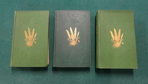 LOWE (E.J.)  Our Native Ferns; or a History of the British Species and their Varieties  . . .  2 vols. 79 coloured plates & many engraved text illus.;