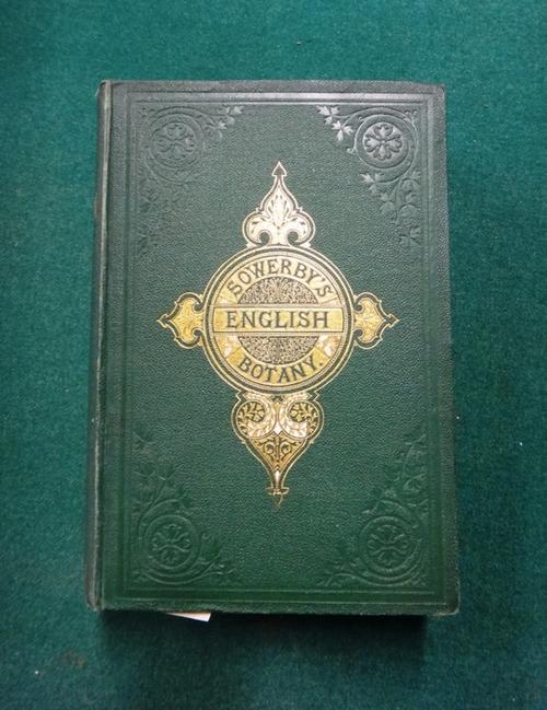 SYME (J.T.B. ), editor.  English Botany  . . .  3rd edition, enlarged . . .  12 vols. very many coloured plates; original gilt cloth, thick 4to. 1863-