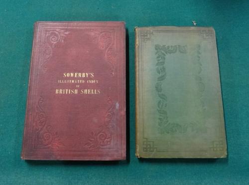 SOWERBY (G.B.)  Illustrated Index of British Shells  . . .  First Edition. 24 hand-coloured plates, 3 advert. leaves; original gilt-lettered cloth, 4t