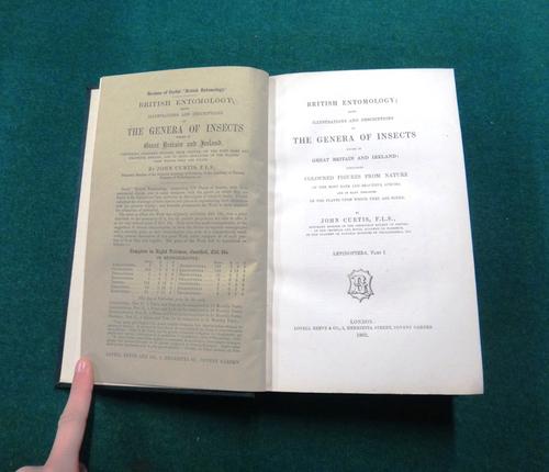 CURTIS (J.)  British Entomology  . . .  'reissue of the orders separately'.  Lepidoptera, 2 vols. 193 hand-coloured plates (i.e. complete); later gilt