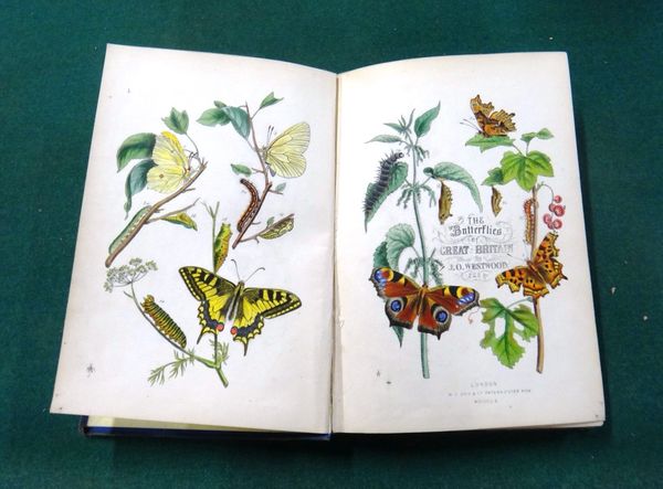 MORRIS (Rev. F.O.)  A History of British Butterflies.  5th edition. 72 coloured plates; original gilt-pictorial cloth, 1870; with some others on lepid