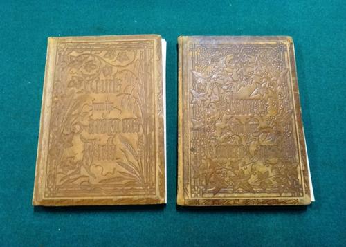 BACON (M.A.)  Flowers from their Kindred Haunts. / Fruits from the Garden and Field. together 2 vols.  26 colour-printed full-page lithographed illus.