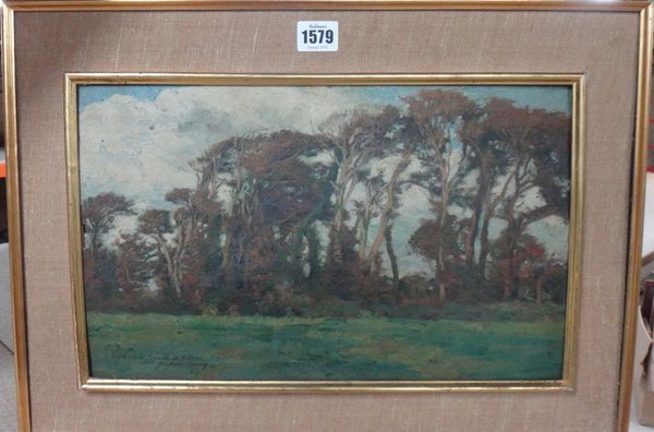 Jacques Simon (1875-1965), The Edge of the Wood, oil on panel, signed, dated '04, and indistinctly inscribed, 23cm x 37.5cm. DDS