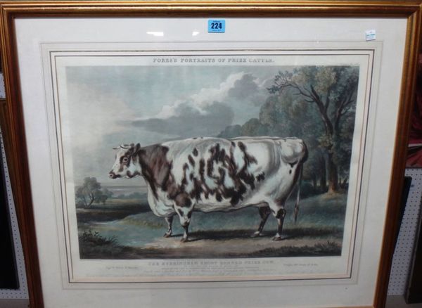 After W. H. Davis, The Everingham Short Horned Prize Cow, aquatint by J. Harris with hand colouring.