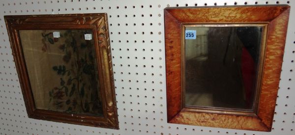A 19th century burr walnut rectangular mirror and a gilt mirror.