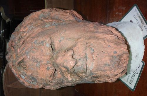 A terracotta head of an aborigine and a bronzed resin bust of a satyr.