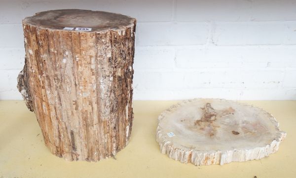 A polished section of petrified wood, of naturalistic trunk form, 26cm diameter and a further slice/section of polished petrified wood, 34cm diameter