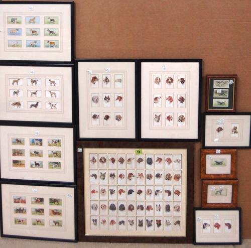 A quantity of framed cigarette cards of dogs and aeroplanes.(qty)
