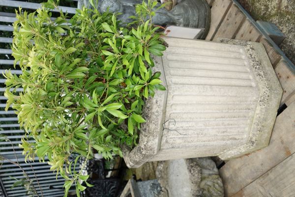 A large 20th century hexagonal stone planter with decoration.