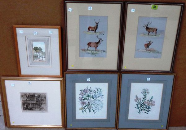 Charles Stanley Todd (early 20th century), Studies of stags, a pair of watercolours, one signed, together with an etching by Eric Taylor, a small wate