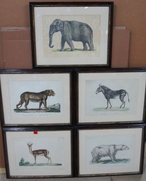 George Smith (Publisher), The Zebra; The Polar Bear; The Gazelle; The Bengal Tiger; The Elephant, a group of five lithographs with hand colouring.(5)