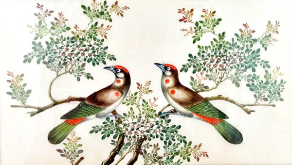 Two Canton rice paper paintings, late 19th century, each painted with a pair of birds in flowering branches, 17.5cm. by 30cm., framed  and glazed; als