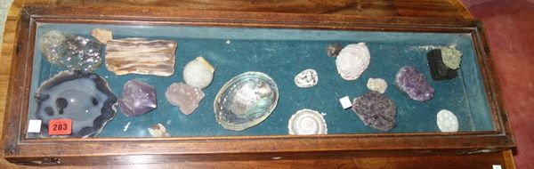 A quantity of specimen minerals and shells contained in a glazed oak lift top box.