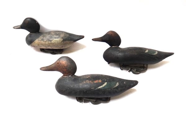 Three painted softwood decoy ducks, early 20th century, with chain links to the undersides, 40cm wide. (3)
