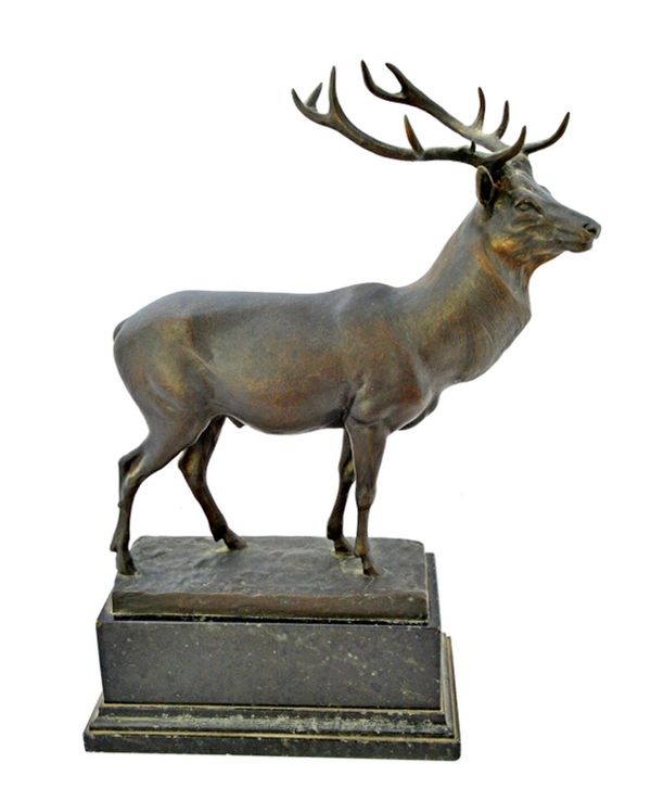 A bronze stag, late 19th century, modelled and cast with six point antlers standing atop a naturalistic rectangular base, signed 'Zauche' to the cast,