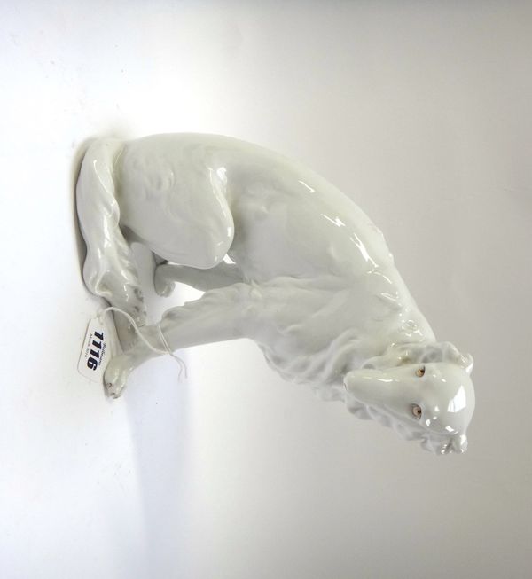 A Katzhutte porcelain model of a Borzoi hound, 20th century, white glaze with gilt heightening, with impressed and blue printed marks, 21cm high.