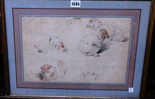 Attributed to Jean-Baptiste Huet (1745-1811), Studies of sheep, pencil and sanguine chalk, 23.5cm x 36cm.