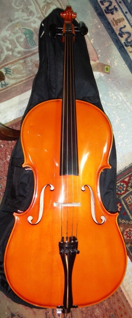 A 3/4 Stentor cello with bow and case.