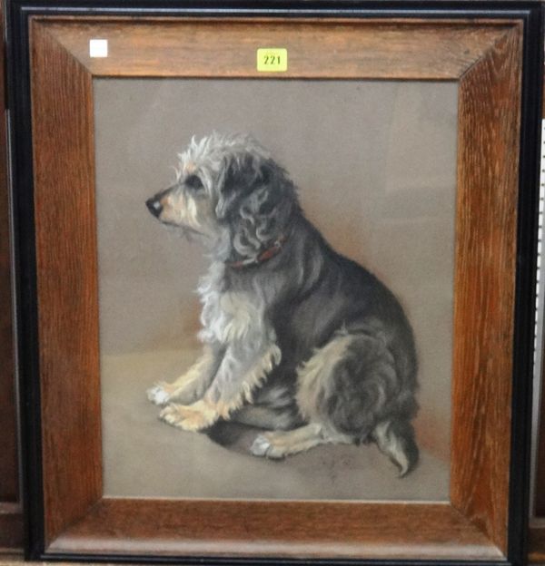 J** W** (early 20th century), 'Rip': study of a terrier, pastel, signed with monogram, inscribed and dated 1931.