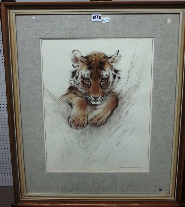 Ralph Thompson (1913-2008), Tiger cub: 'The Boffer' Sudden Shyness, watercolour, signed, 48cm x 36cm. DDS