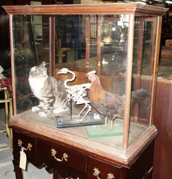 A 19th century mahogany glazed table top display cabinet.