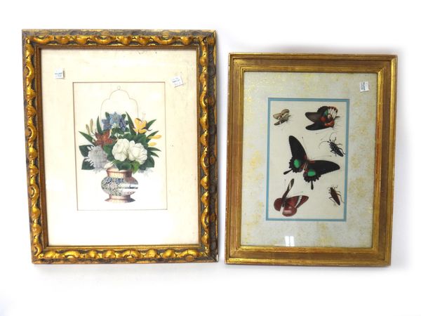 A set of six Chinese paintings on rice paper, 19th century, each painted with insects, 17cm. by 29cm., framed and glazed; also two smaller rice paper