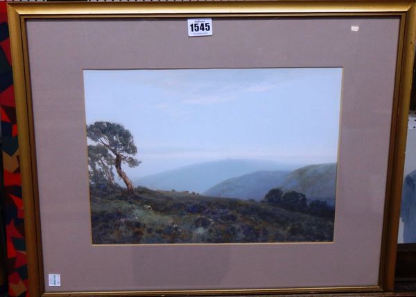Frederick John Widgery (1861-1942), Moorland scene, gouache, signed, 24.5cm x 34cm.