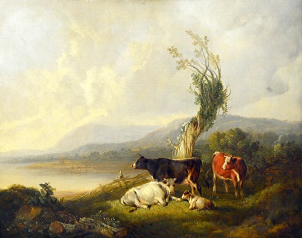 J. Willis (19th century), Cattle resting by a lake, oil on canvas, 35cm x 44cm. Illustrated.