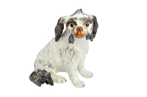 A Meissen porcelain Bolognese hound, late 19th century, after a model by J.J. Kaendler, seated, naturalistically modelled with tufts above expressive