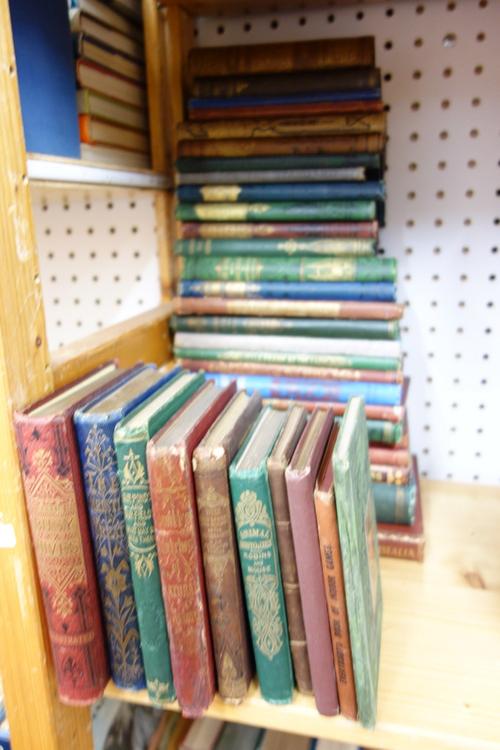JUVENILE - 'Non Fiction'. 19th cent., mostly coloured pictorial / gilt covers, including some natural history & travel.