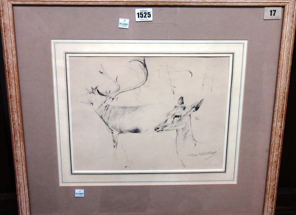 Willi Kuhnert (1865-1926), Studies of deer, pencil, signed, 24cm x 30.5cm.