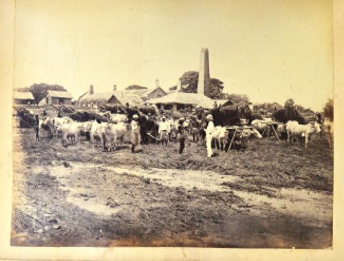 A Victorian 9ct gold and black enamelled mourning ring, glazed with a photographic locket compartment to the centre and detailed 'In Memory Of'' betwe