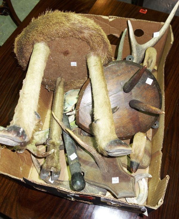 A group of collectables, including washboards, a taxidermy stool and sundry, (qty).  D7
