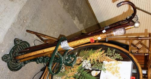 A quantity of assorted walking sticks and a green cast iron stick stand, (qty). DIS