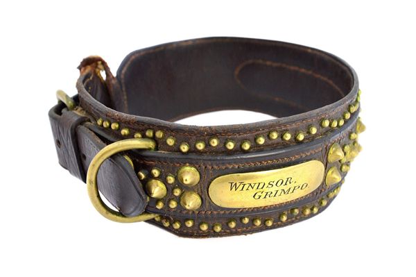 An early 20th century leather and brass studded dog's collar, with strap and buckle and applied name badge for 'Windsor Grimpo'. Illustrated