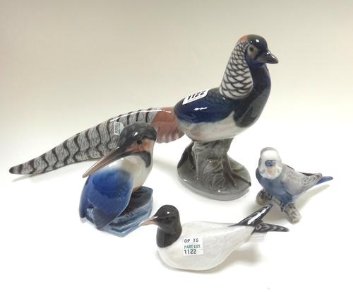 Four Royal Copenhagen birds, comprising; Golden Pheasant 1881, Kingfisher 407, Budgerigar 457, and Gull 1468, the pheasant 19cm high. (4)