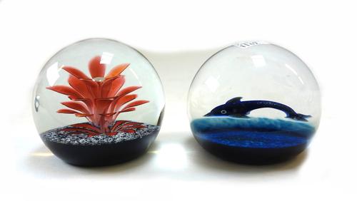 A Caithness 'Dragonfly' paperweight, boxed, together with six further Caithness glass paperweights including; Peach, Robin, Floral Fountain, Kaleidosc