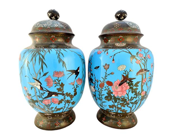 A pair of Japanese turquoise-ground cloisonné enamel vases and covers, Meiji period, each ovoid vase worked with birds and insects amongst peony, prun