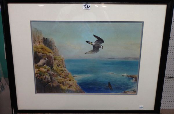 John Cyril Harrison (1898-1985), The Intruder: Peregrine about to attack an intruder, watercolour, signed, 33cm x 47cm. DDS