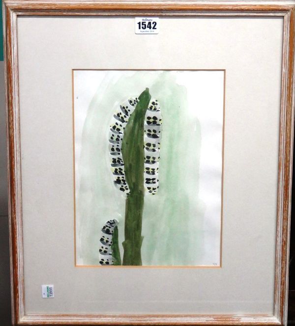 Mary Newcomb (1922-2008), Caterpillars on Mullein, watercolour, signed with initials, 28.5cm x 20.5cm. DDS