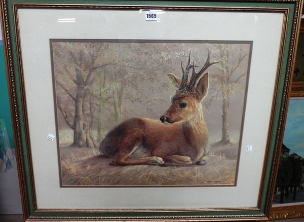 Spencer Roberts (1920-1987), Roe Deer, watercolour, pastel and gouache, signed, 43cm x 52.5cm. DDS