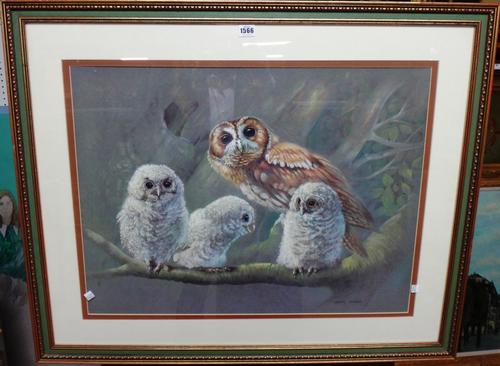 Spencer Roberts (1920-1987), Owl family, pastel and gouache, signed, 54cm x 72cm. DDS