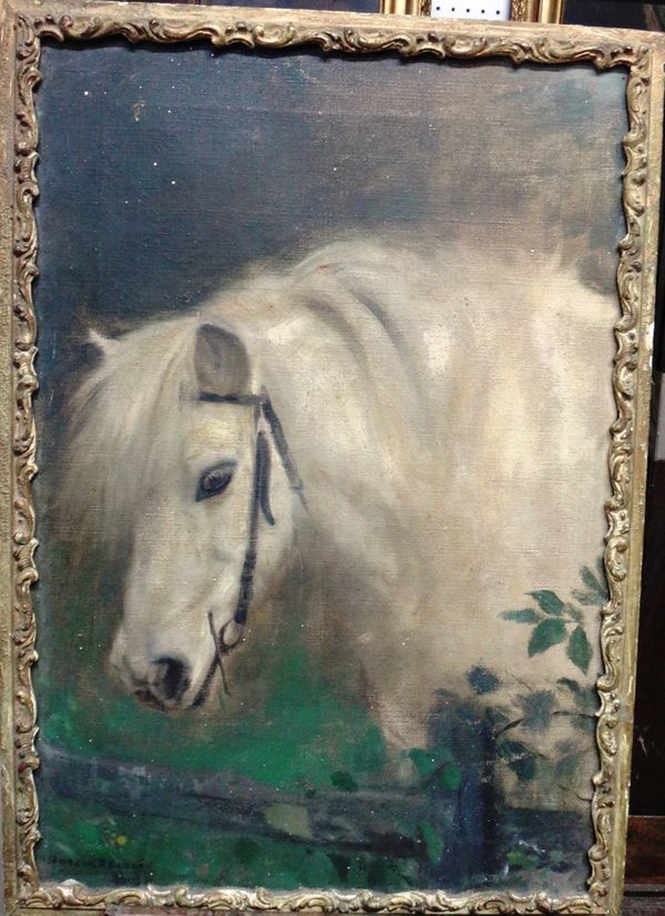 Arthur John Elsley (1861-1952), Head study of a horse, oil on canvas, signed and dated 1903, 47cm x 32cm. DDS
