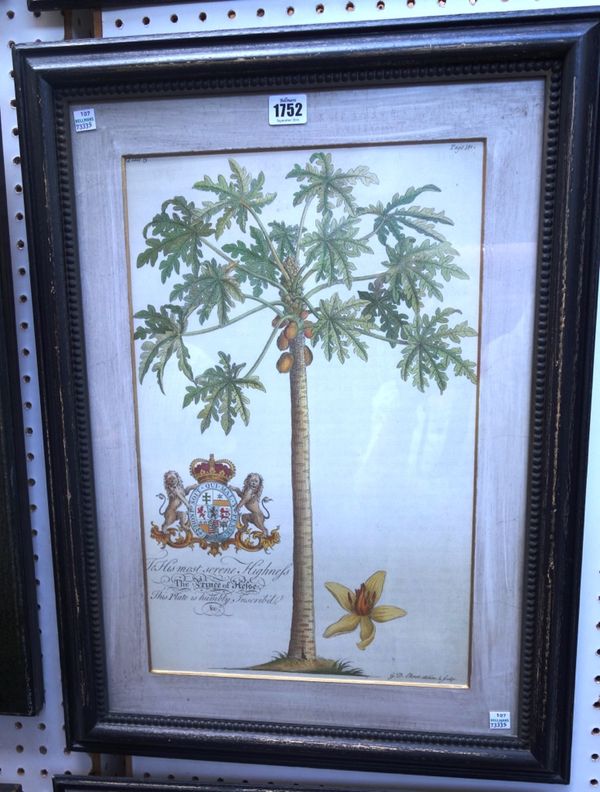 After G. D. Ehret, Tropical trees, a set of three modern colour reproductions.(3)