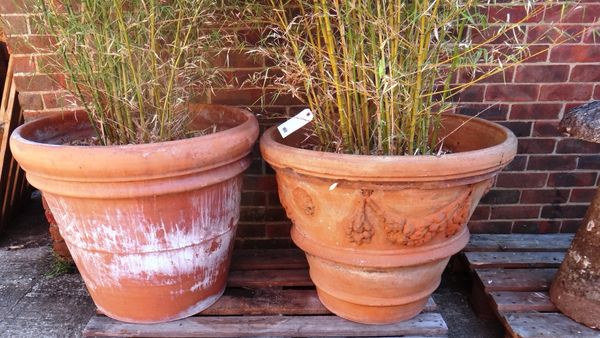 Two large 20th century terracotta pots planted with bamboo, 77cm wide x 63cm high approximately.